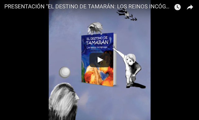 Captura de pantalla 2017-06-15 a las 13.00.49